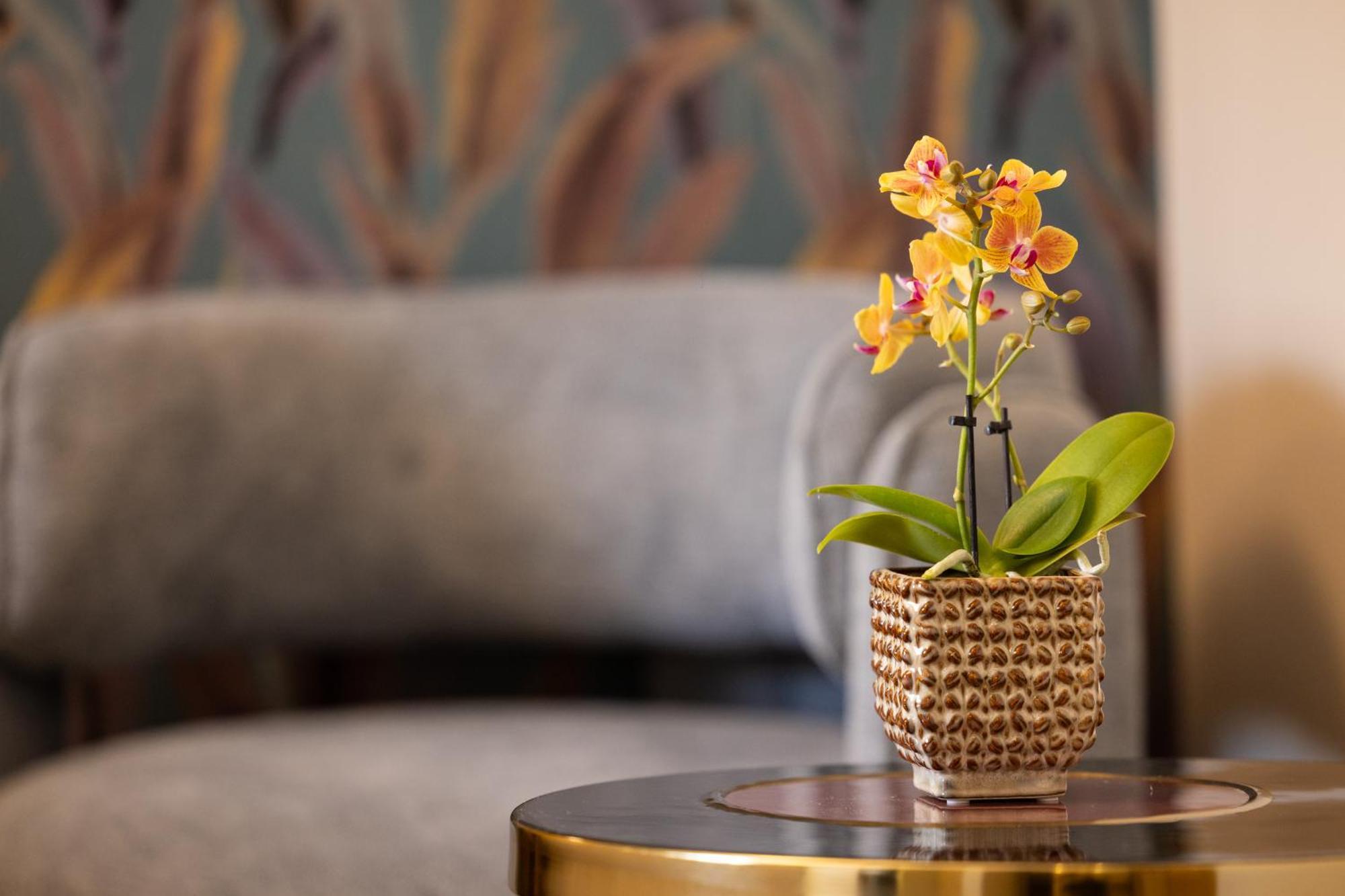 Mavi Luxury Suites Rzym Zewnętrze zdjęcie